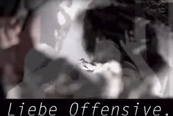 Video: Liebe Offensive